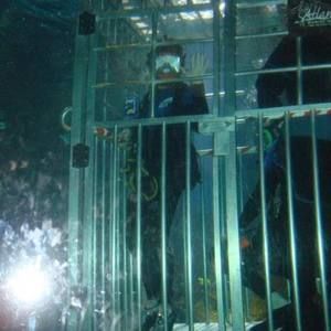 Meet your Posher, Dean